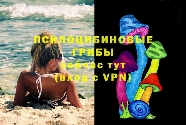 ешки Аркадак