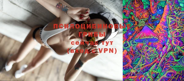 ешки Арсеньев