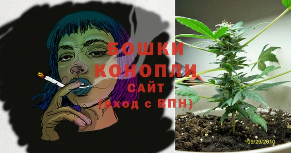 ешки Аркадак